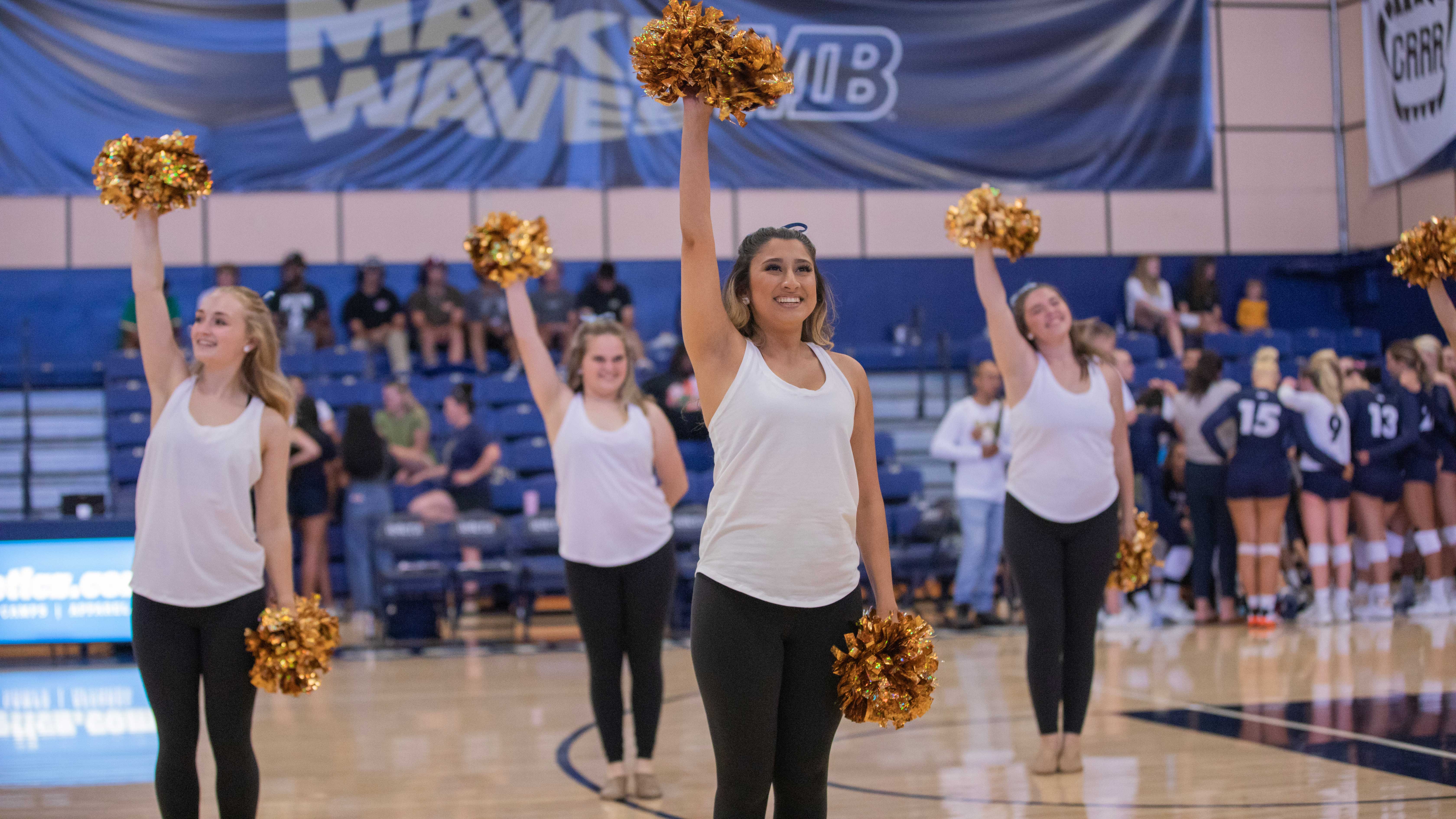 cheerleaders cheering at a game